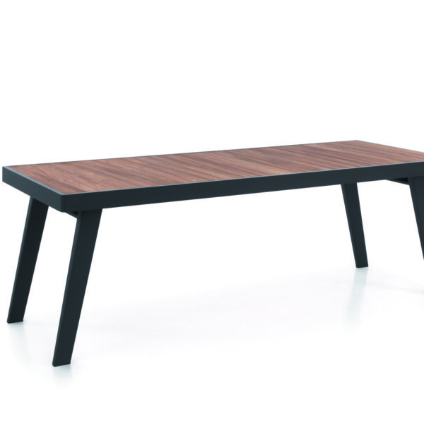 Table de jardin